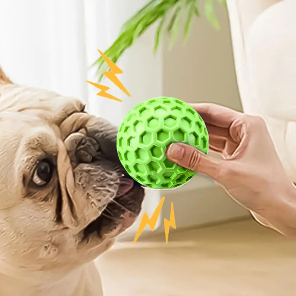 Interactive squeaky dog toy balls squeaky dog toy balls being played with by a dog and owner.