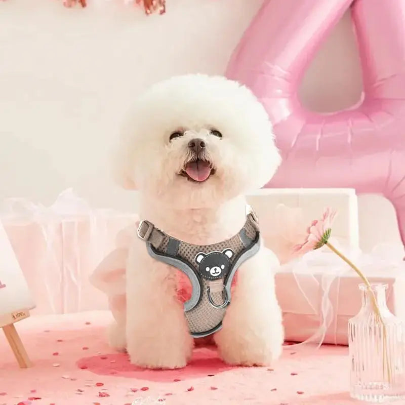 LED Dog Harness Illuminated Fiber Customizable Set for Nighttime Wal