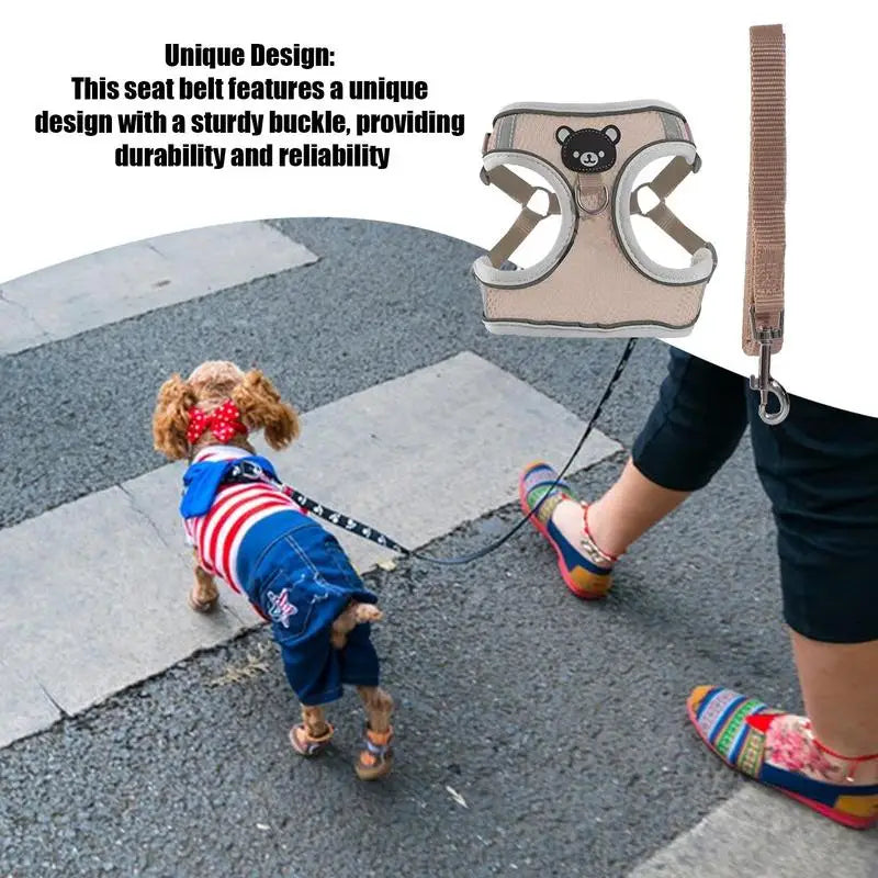 LED Dog Harness Illuminated Fiber Customizable Set for Nighttime Wal