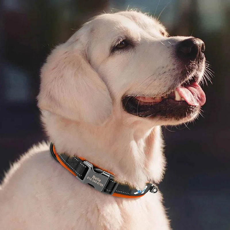 Reflective Personalized Dog Collar Engrave ID Nylon Collars Soft Padded - Loja Manuel Coelho