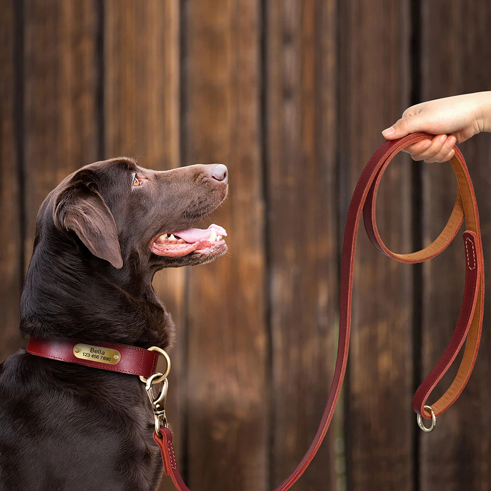 Coleira para cão personalizada em couro legítimo