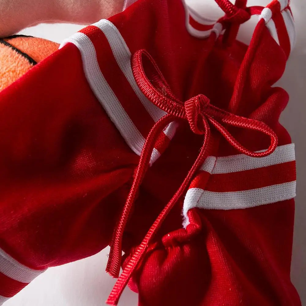 Close-up of the dog baskJ costume showing red fabric with white stripes and playful basketball details.