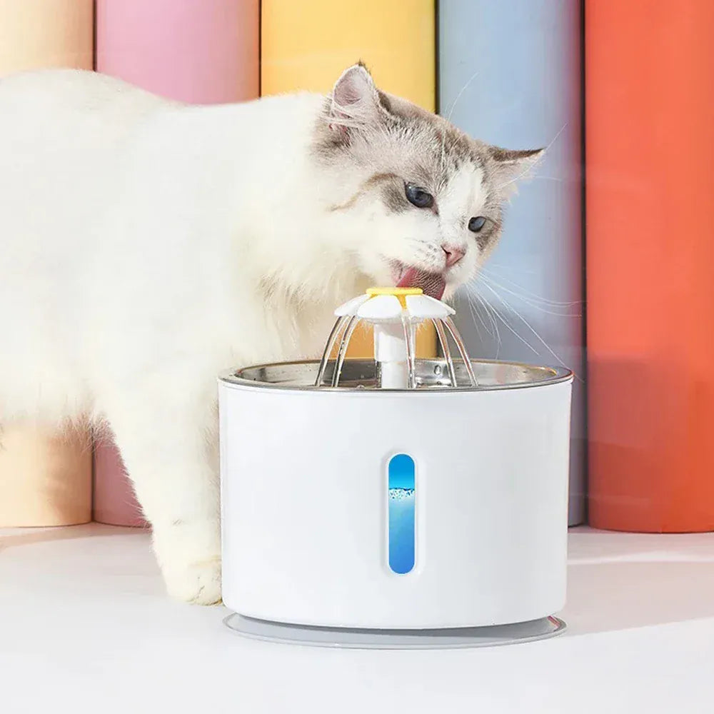 Cat drinking from an automatic pet water fountain LED on a colorful background.