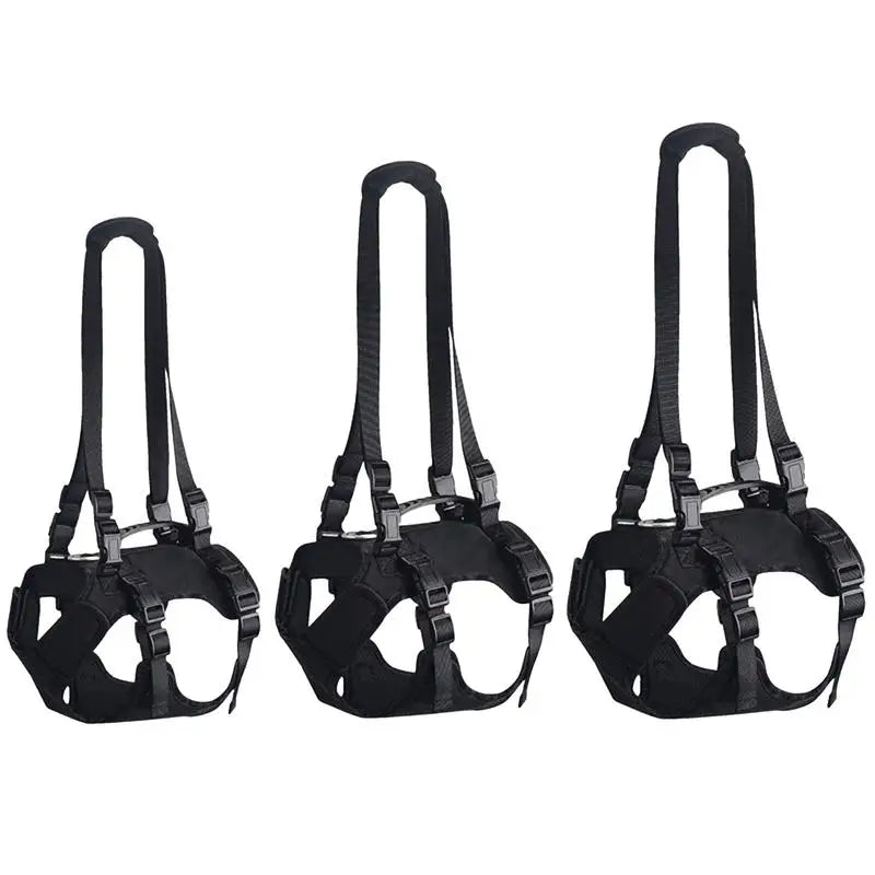 Three black dog muzzles on a white background