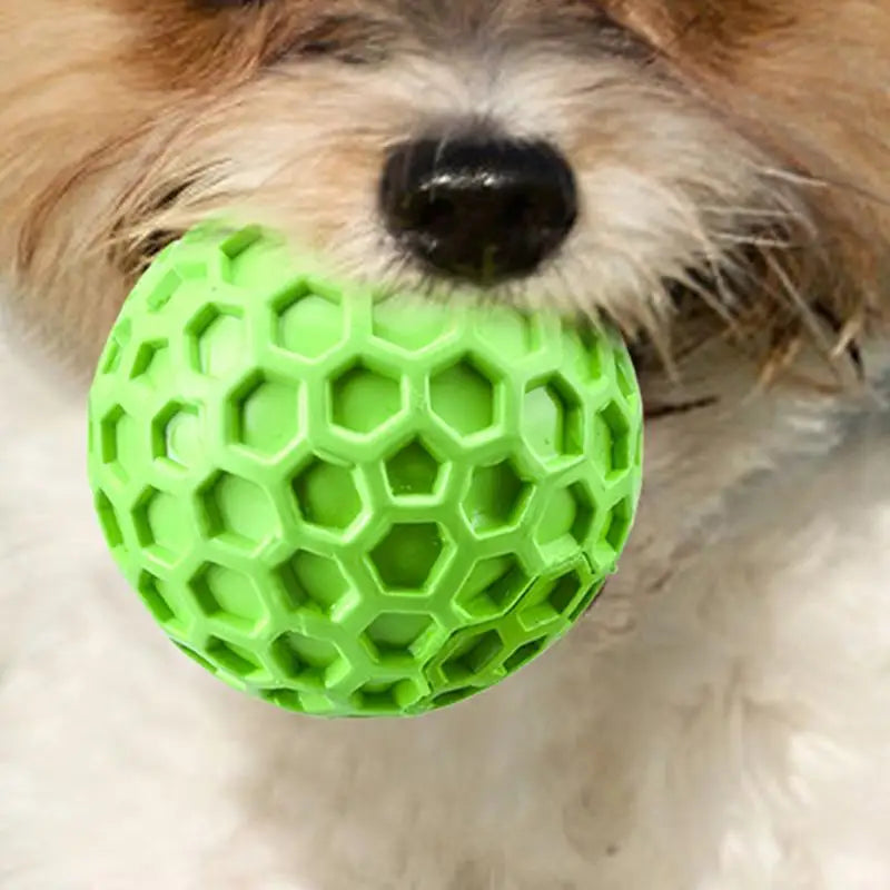 interactive squeaky dog toy balls squeaky dog toy balls in dog's mouth, green honeycomb design for playful chewing.