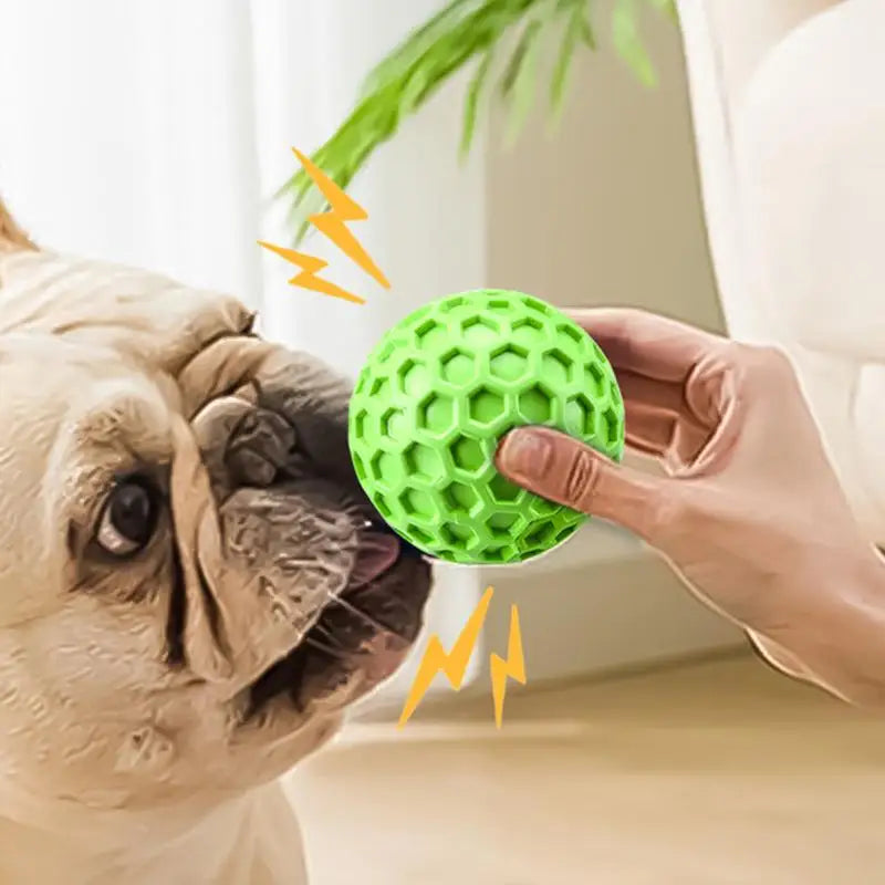 interactive squeaky dog toy balls squeaky dog toy balls being offered to a dog in a home environment.