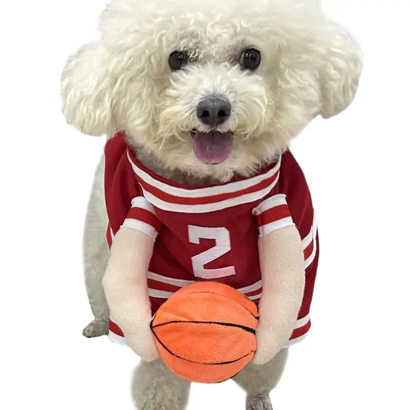 Dog baskJ costume featuring a fluffy white dog wearing a basketball jersey and holding a basketball.