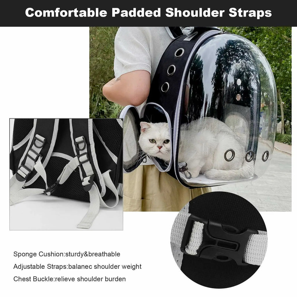 Transparent Cat Backpack Carrier 42x35x25cm Clear Portable See Thr