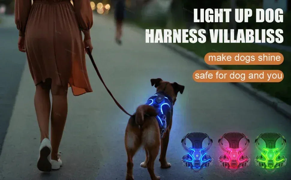 LED Dog Harness Nuoying Night Walking Harness with Durable Nylon &