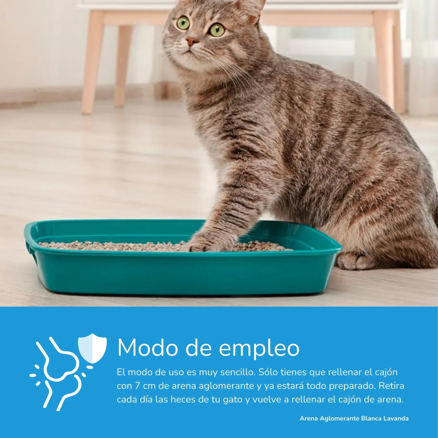 Areia Premium Bentonite Lavanda 5kg - BARAKALDO VET+SHOP Aglomerante - Loja Manuel Coelho