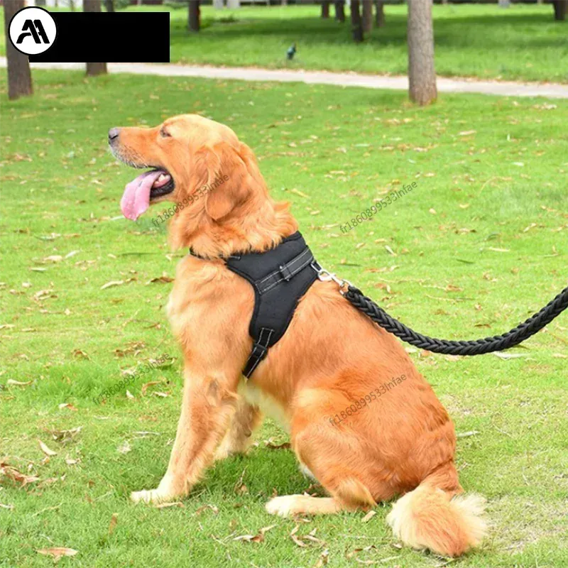 NUOYING Adjustable Dog Harness And Leash Nylon No Pull Design For Safe Soft Walks