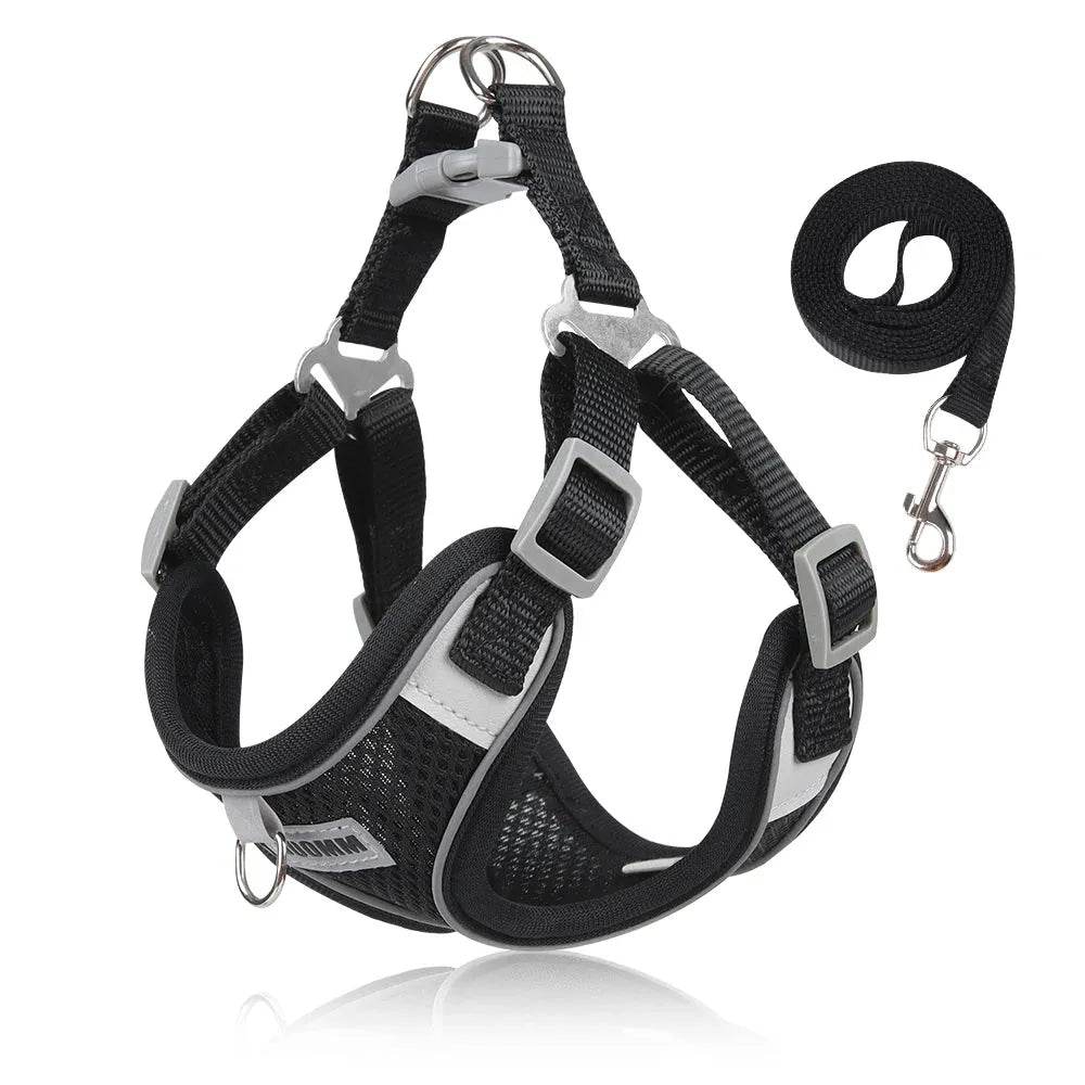 Dog Harness Leash for Small Medium Chest Strap Reflective - Loja Manuel Coelho