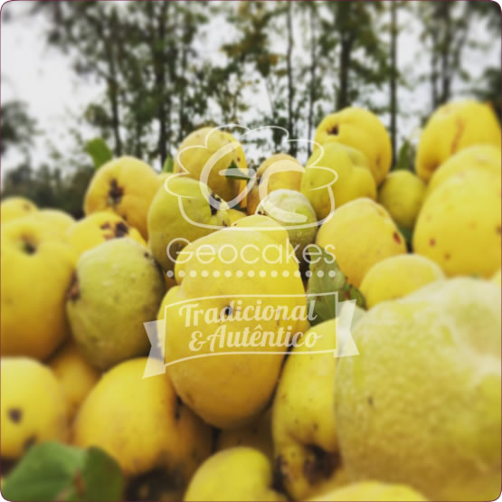 Geleia de Marmelo Biológica Portuguesa 195g