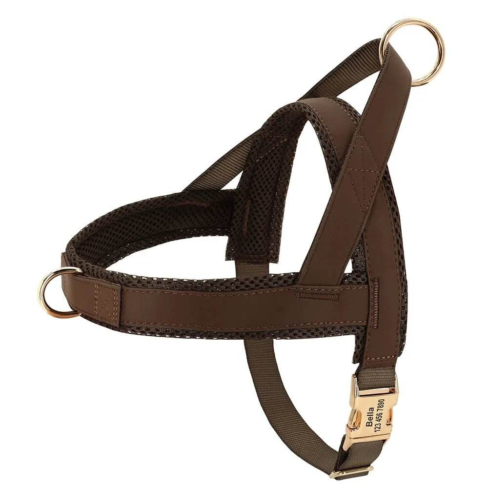 Personalized Dog Harness No Pull Dog Adjustable Pet Walking - Loja Manuel Coelho