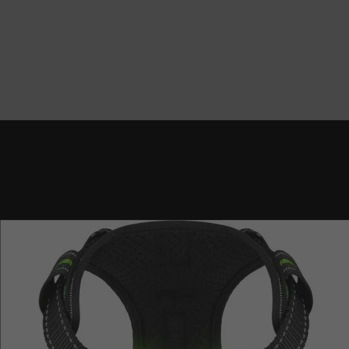 LED Dog Harness Nuoying Night Walking Harness with Durable Nylon &