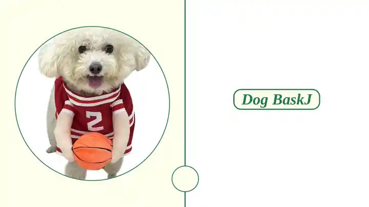 Cute dog in a basketball costume holding an orange ball, showcasing the playful Dog BaskJ pet outfit.
