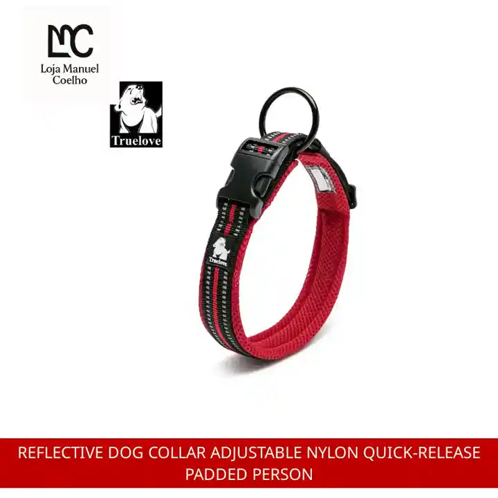 Reflective Dog Collar Adjustable Nylon Quick-Release Padded Person by@Outfy