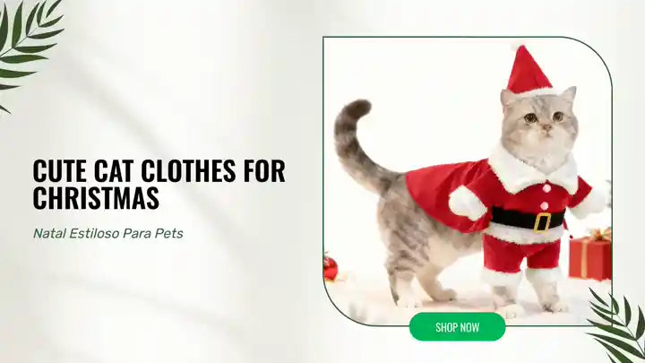 Cute Cat Clothes For Christmas
