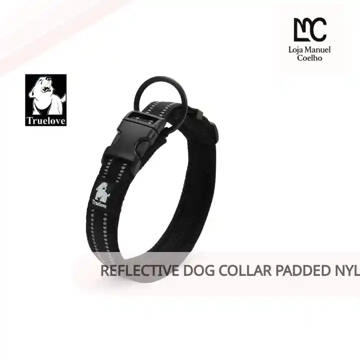 Reflective Dog Collar Padded Nylon 3M Reflective Breakaway by@Outfy