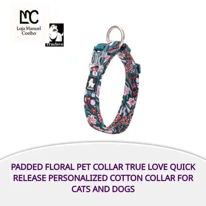 Padded Floral Pet Collar True Love Quick Release Personalized Cotton Collar For Cats And Dogs by@Outfy