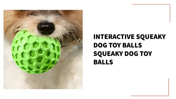 Interactive squeaky dog toy balls squeaky dog toy balls held by a dog, designed for engaging playtime.