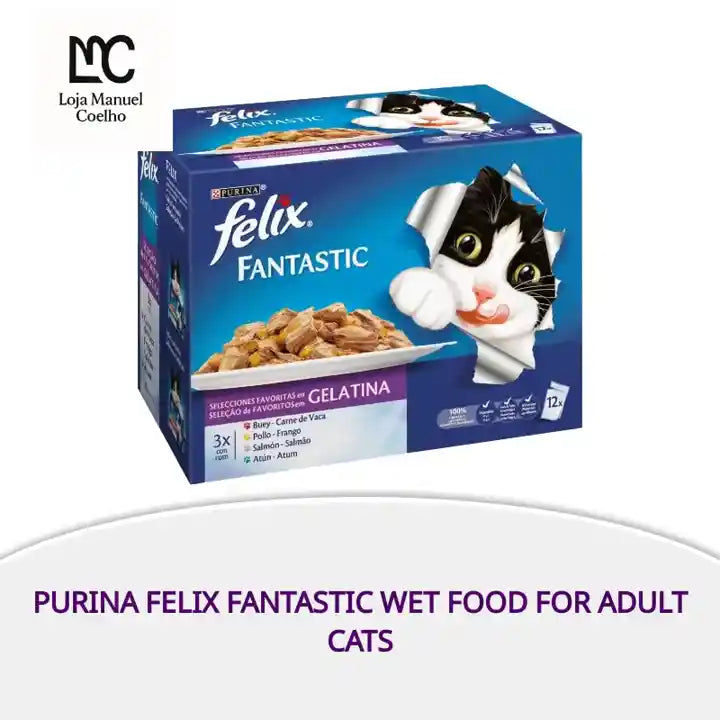 Purina felix fantastic wet food for adult cats by@Outfy