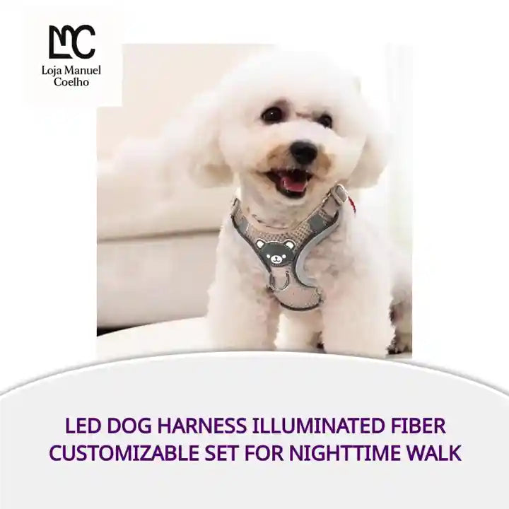 LED Dog Harness Illuminated Fiber Customizable Set for Nighttime Walk by@Outfy