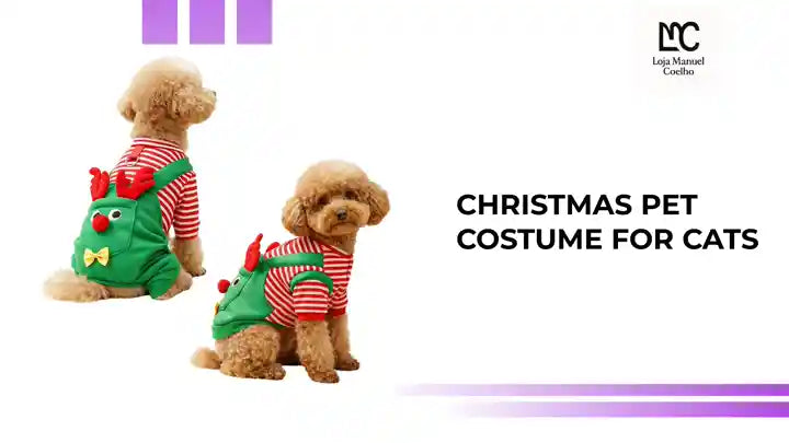 Cute dog wearing a Christmas pet costume for cats with a striped shirt and festive green accessories.