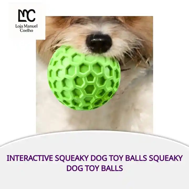 interactive squeaky dog toy balls squeaky dog toy balls by@Outfy