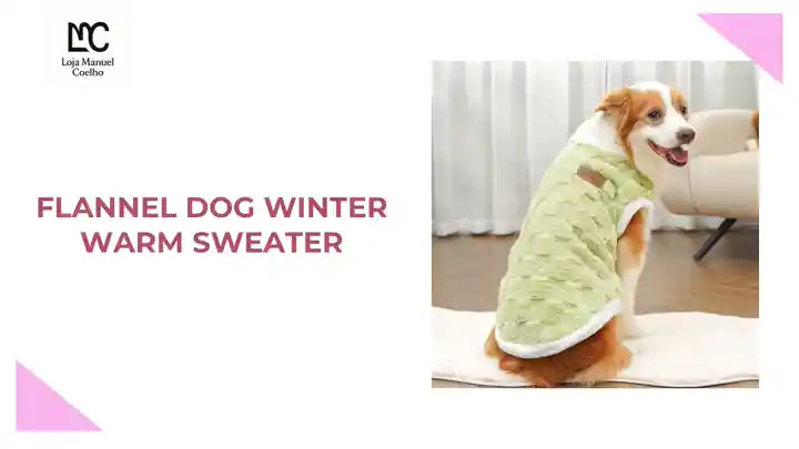 Flannel dog winter warm sweater on a golden retriever, perfect for chilly weather and stylish pet photos.