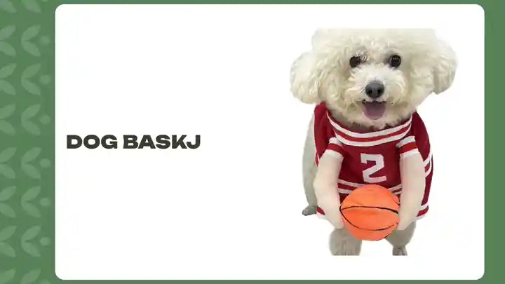 Cute dog in a basketball costume, showcasing the dog baskJ theme with a basketball in paws.