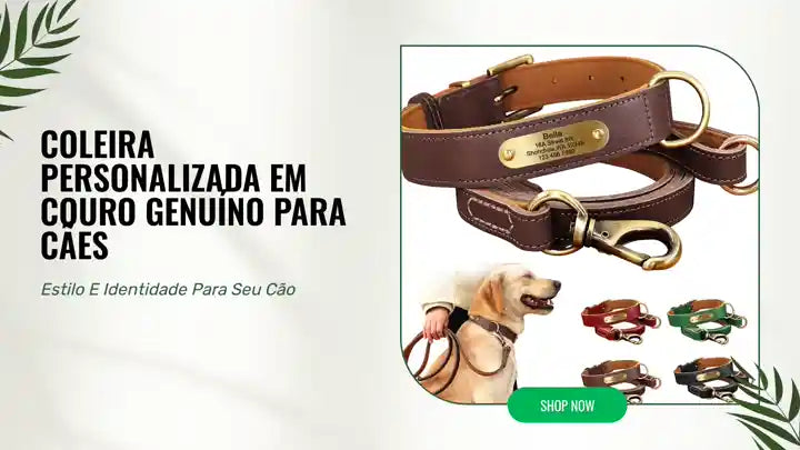 Coleira Personalizada em Couro Genu&iacute;no para C&atilde;es by@Outfy