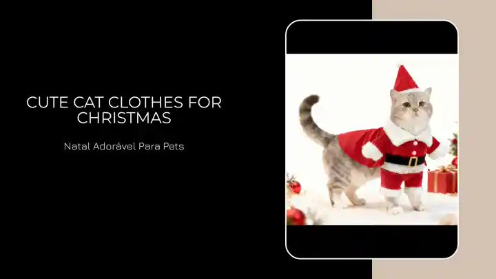 Cute Cat Clothes For Christmas