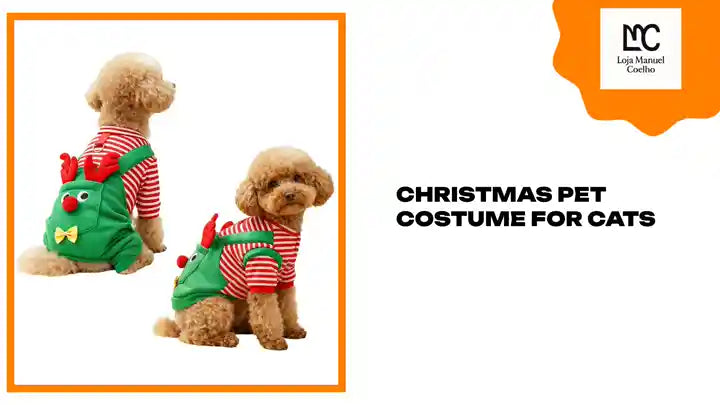 Two dogs wearing a festive Christmas pet costume for cats with reindeer design and striped shirts.