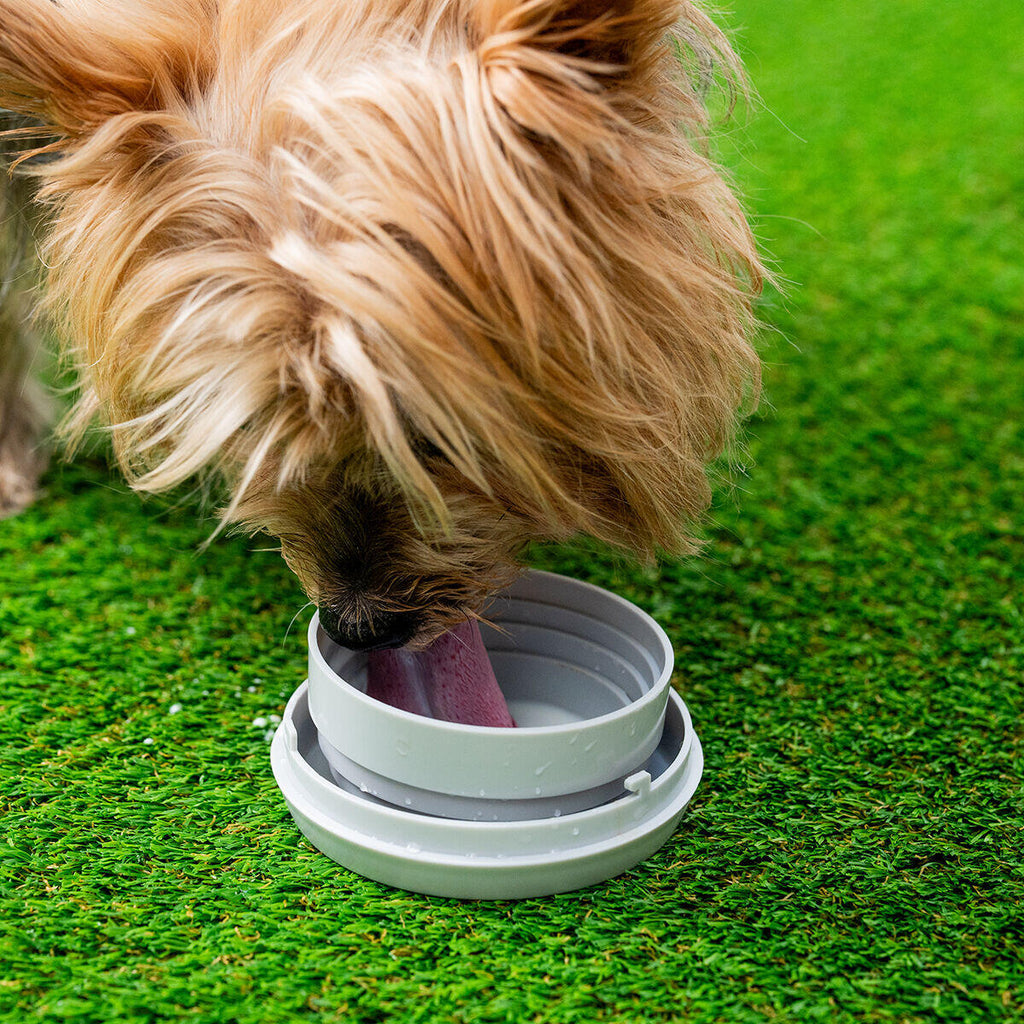 Correa Retráctil para Perros 6 em 1 Leashic InnovaGoods