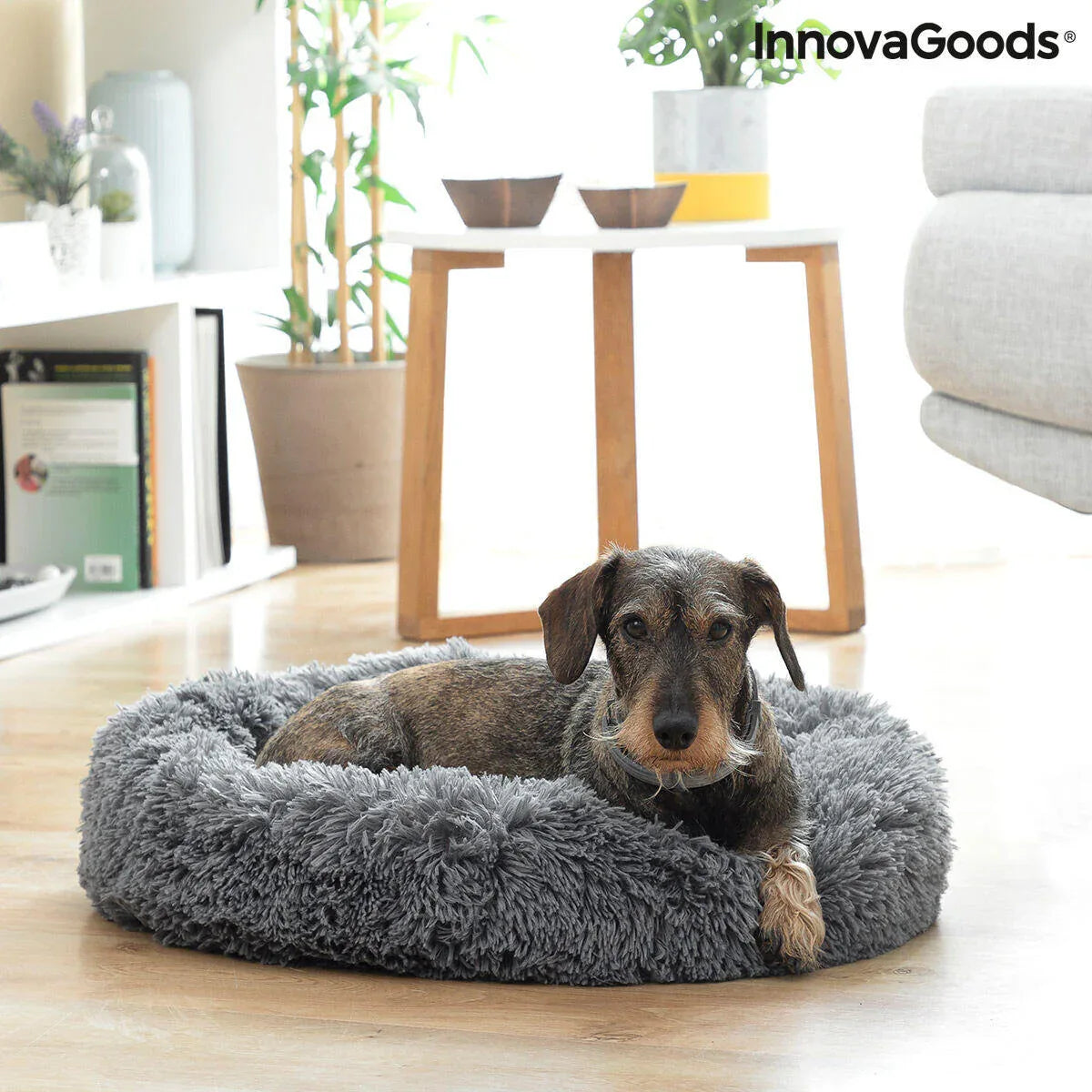 Cama Anti-Stress para Cães e Gatos Ø 60cm - Conforto Premium - Loja Manuel Coelho